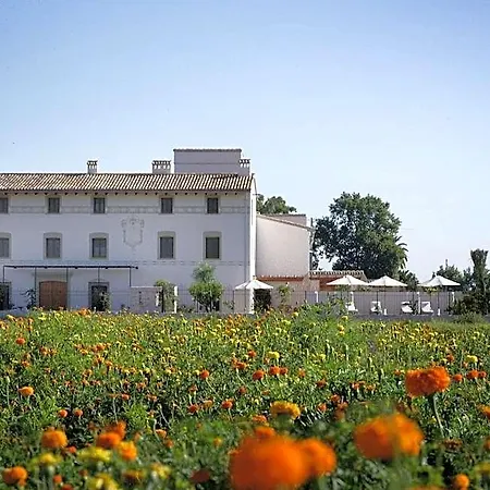 La Mozaira Hotel Alboraia