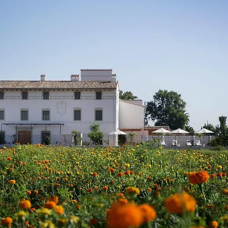 La Mozaira 4* Alboraia