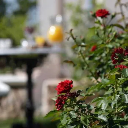 La Mozaira Hotel Alboraia